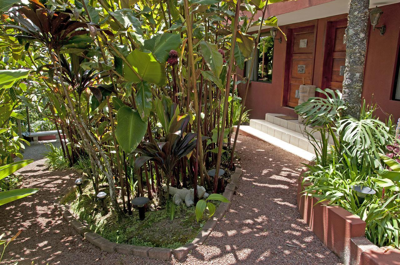 Bed and Breakfast La Boruca San Isidro  Zewnętrze zdjęcie